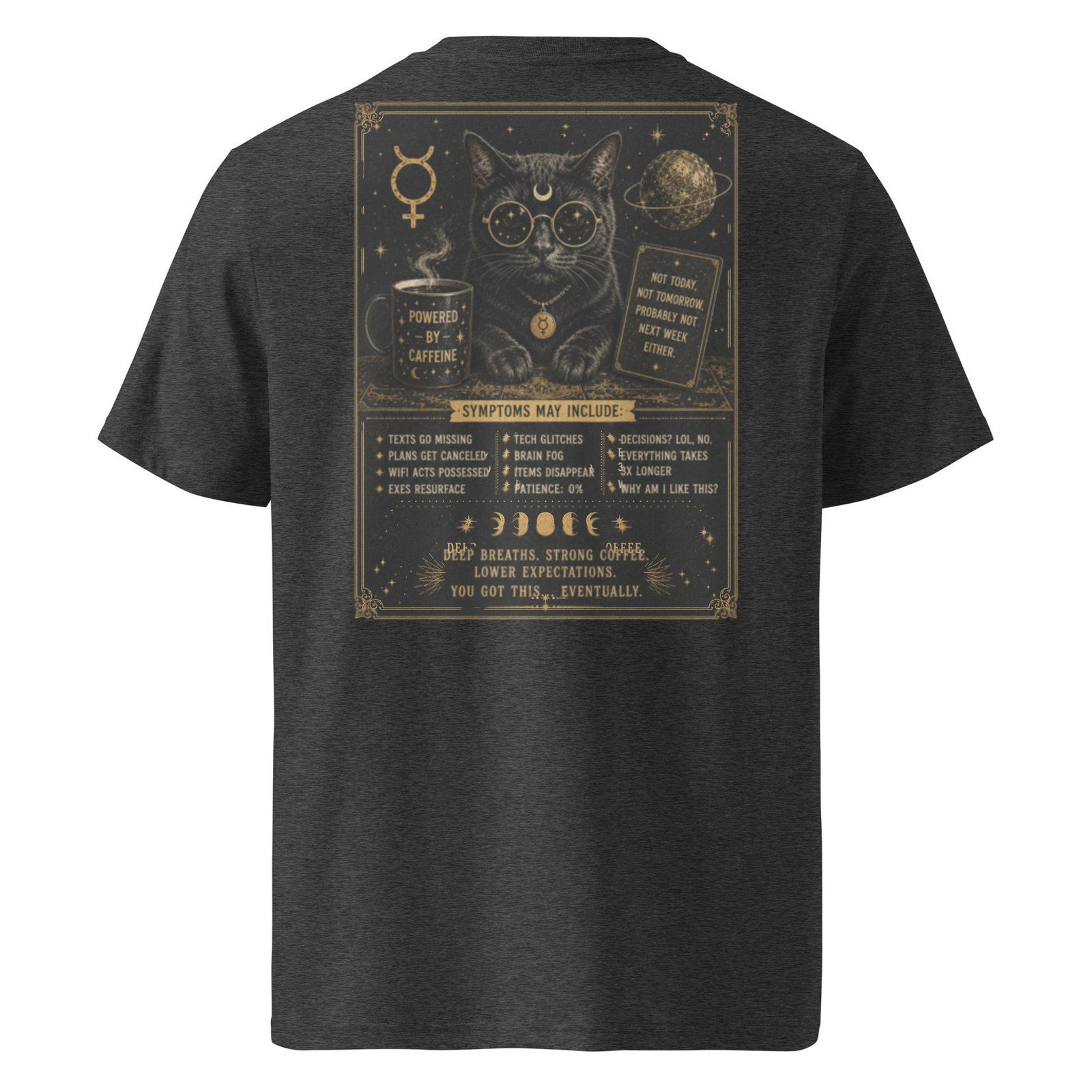 Grey Mercury Retrograde: The Original Plot Twist™ Vintage Celestial Graphic Tee
